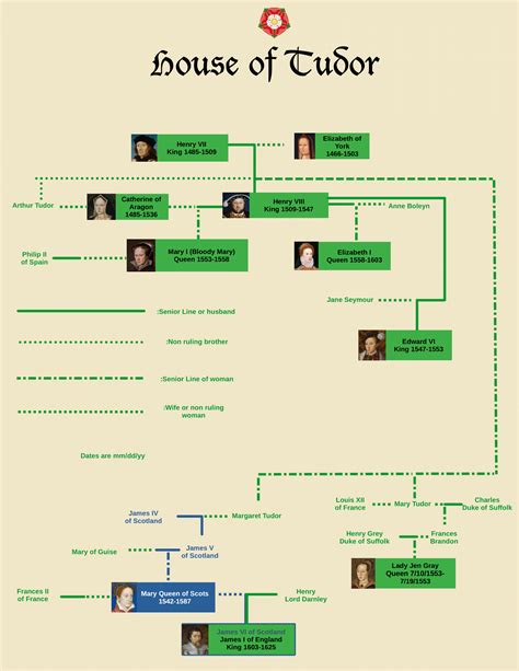 discendenze tudor|tudor family tree identification.